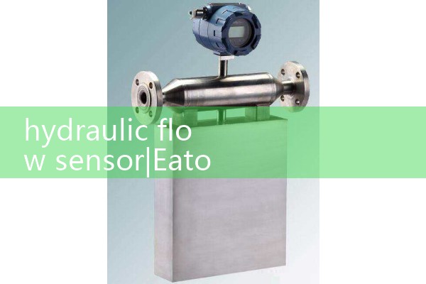 hydraulic flow sensor|heat flow meter
